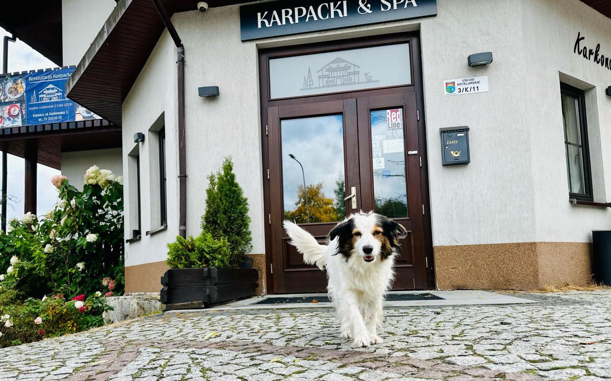 Karpacki & Spa - Blisko Wyciagu, Restauracja, Sala Zabaw, Bar 24H (Adults Only) Karpacz Dış mekan fotoğraf